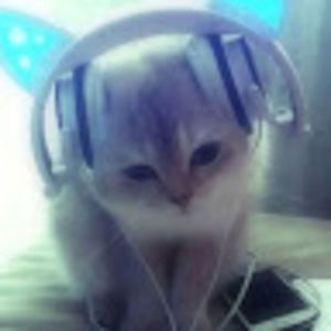 Meet your Posher, Heidi